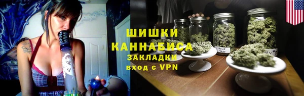 прущие грибы Балабаново