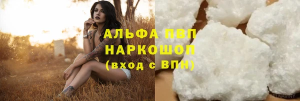 прущие грибы Балабаново
