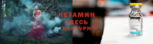прущие грибы Балабаново