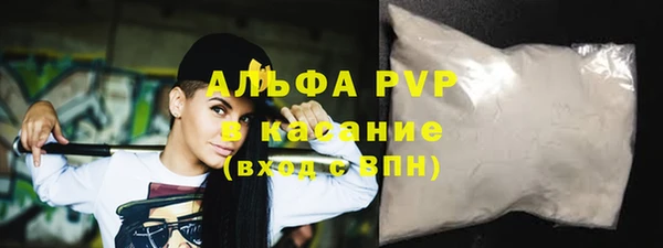прущие грибы Балабаново