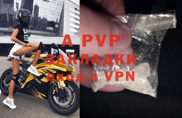 индика Баксан