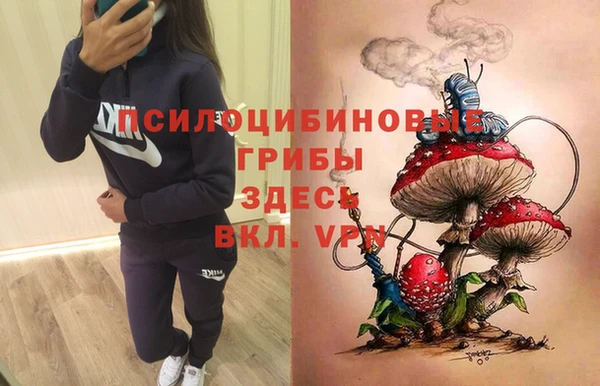 прущие грибы Балабаново
