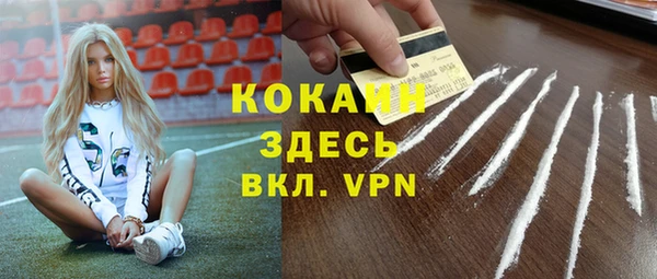 индика Баксан