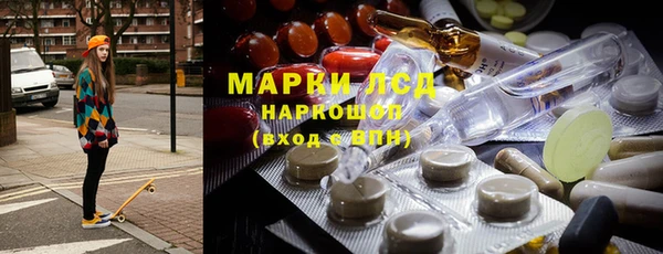 прущие грибы Балабаново