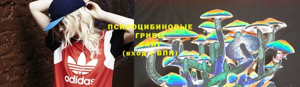 индика Баксан