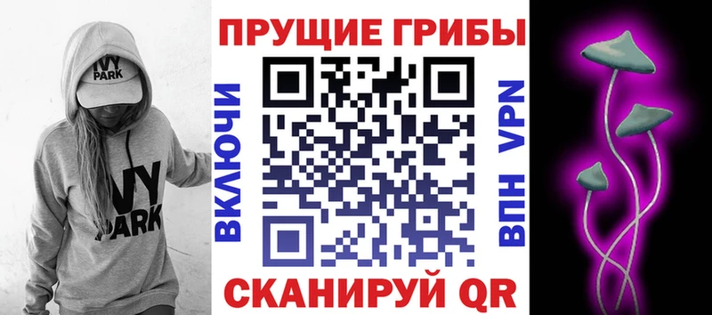 Галлюциногенные грибы мухоморы KRAKEN вход Нолинск